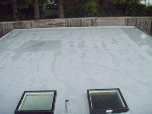 residential roof with white epoxy roof coating - two windows and wood fence
